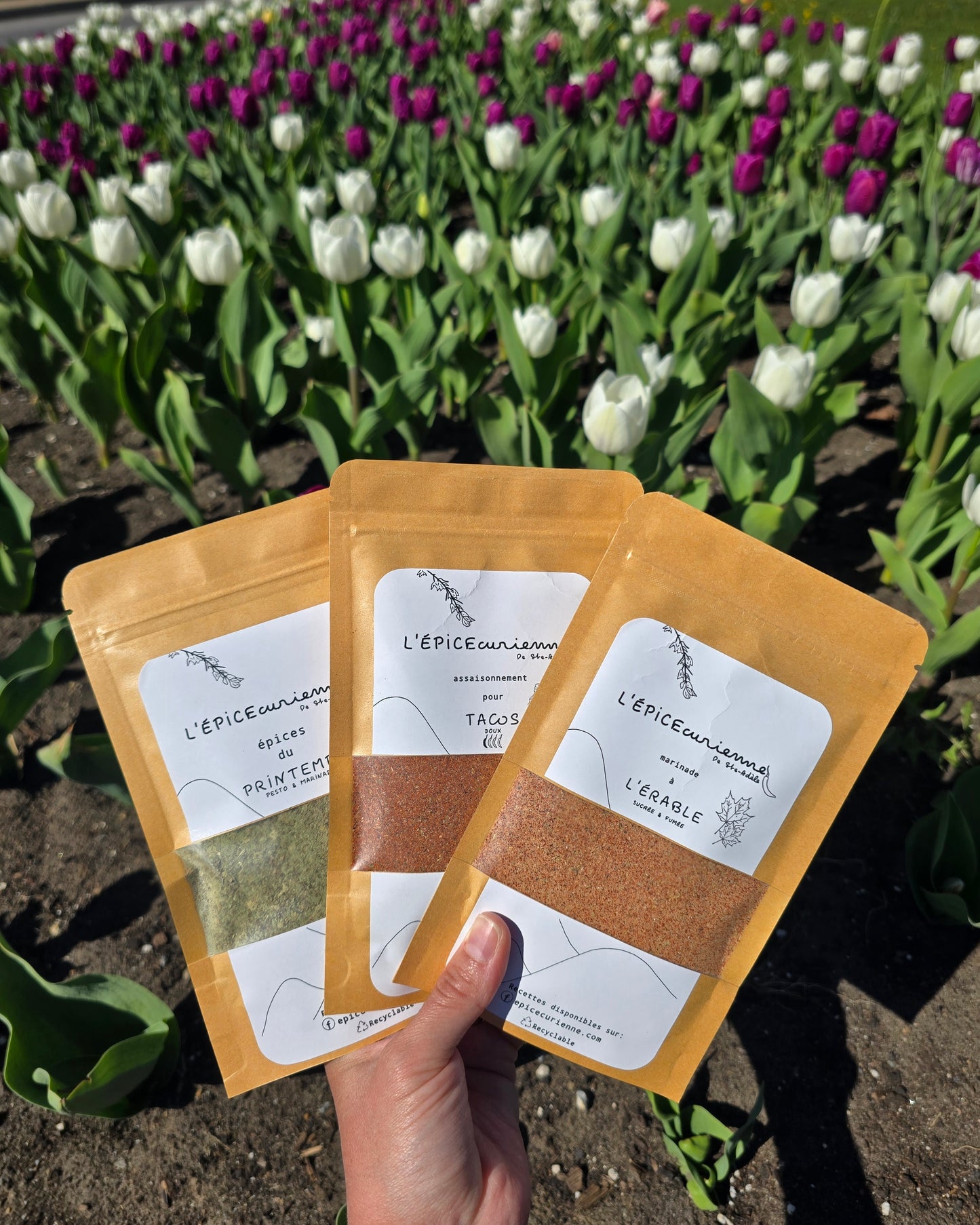 Trio du printemps
